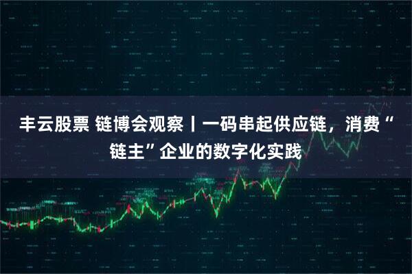 丰云股票 链博会观察丨一码串起供应链,消费“链主”企业的数字化实践
